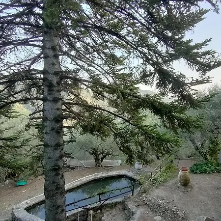 Villa Dei Fiori